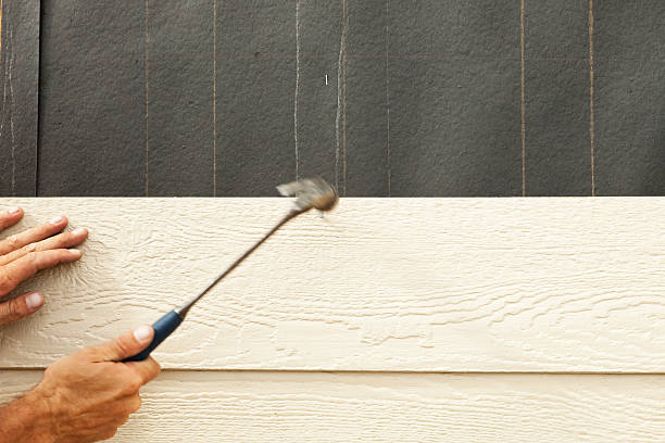 Affordable Siding Repair and Maintenance Services in Palatka, FL